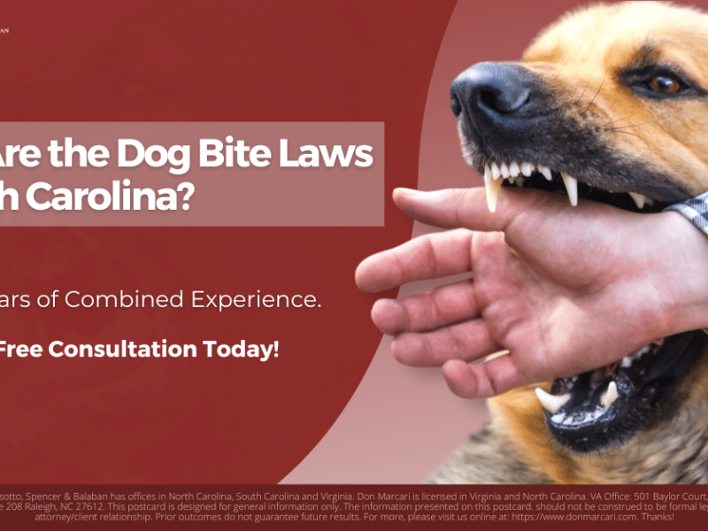 South Carolina, Dog Bite Accident