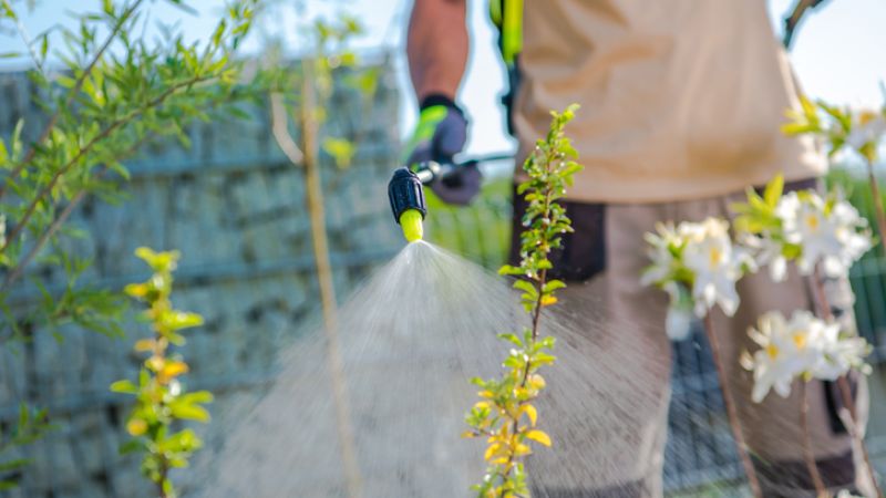 Gardener spraying plants with a backpack sprayer in a sunny garden setting.